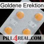Golden Erection 24